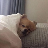 逐日热逛科技