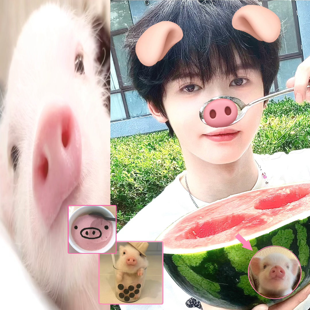 可他只是一只猪猪呀… 