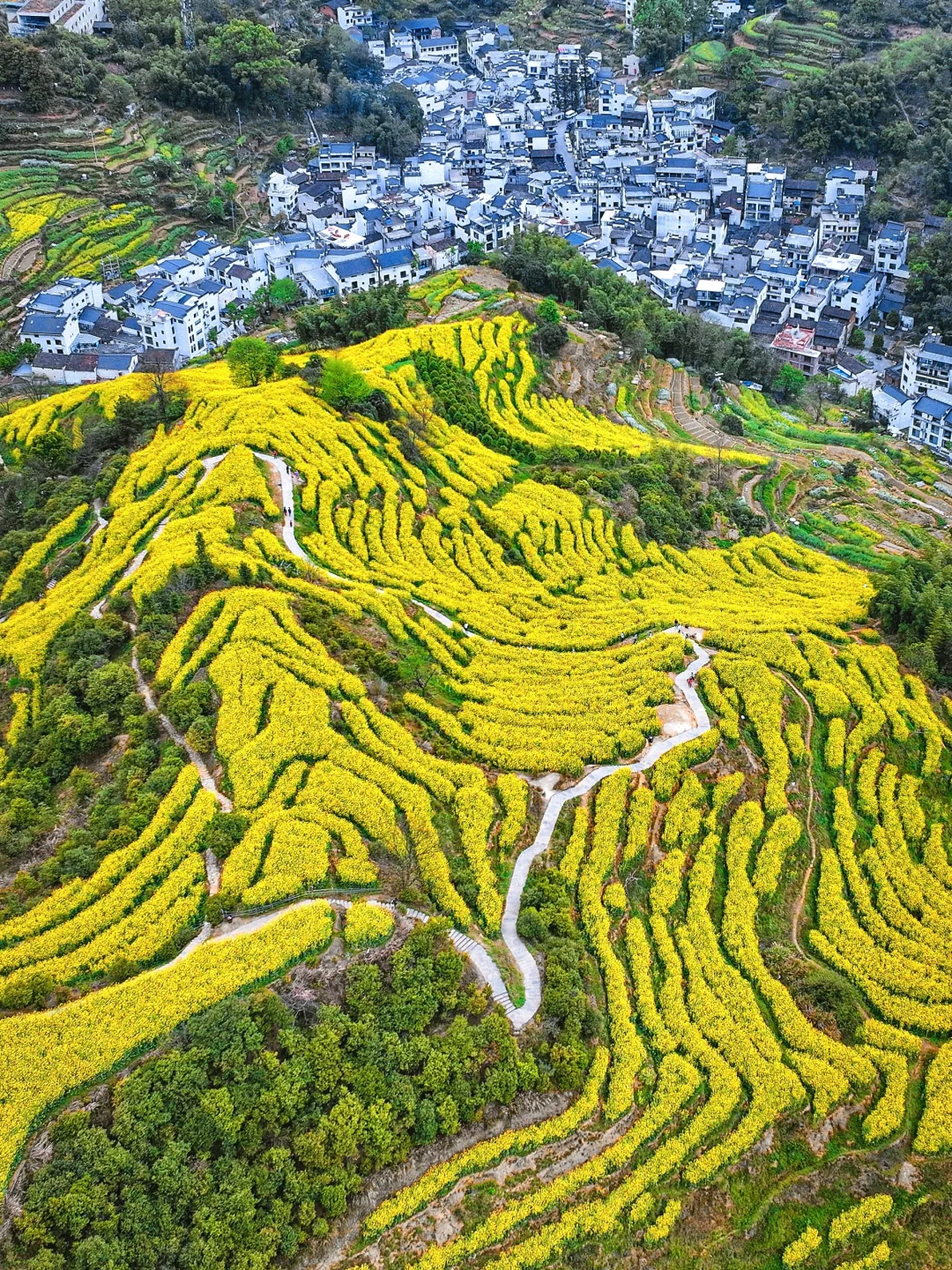 四月封神！这里的花海美到窒息！错过再等一年