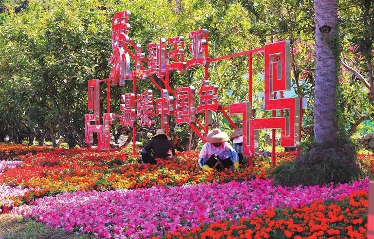 【三亚：“花”样迎新春】2月11日上午，在三亚市民果园路口附近，工人正为花坛添置