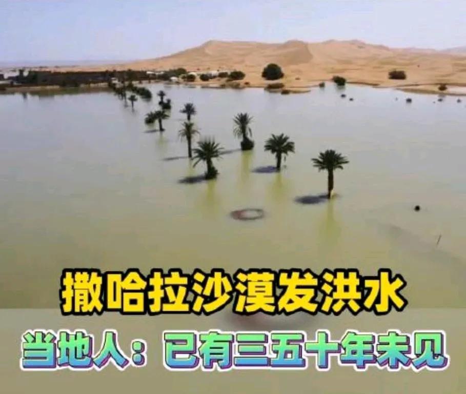 撒哈拉沙漠：干旱之地突现洪水，金色沙海秒变瀚海！
近期，撒哈拉沙漠遭遇了前所未有