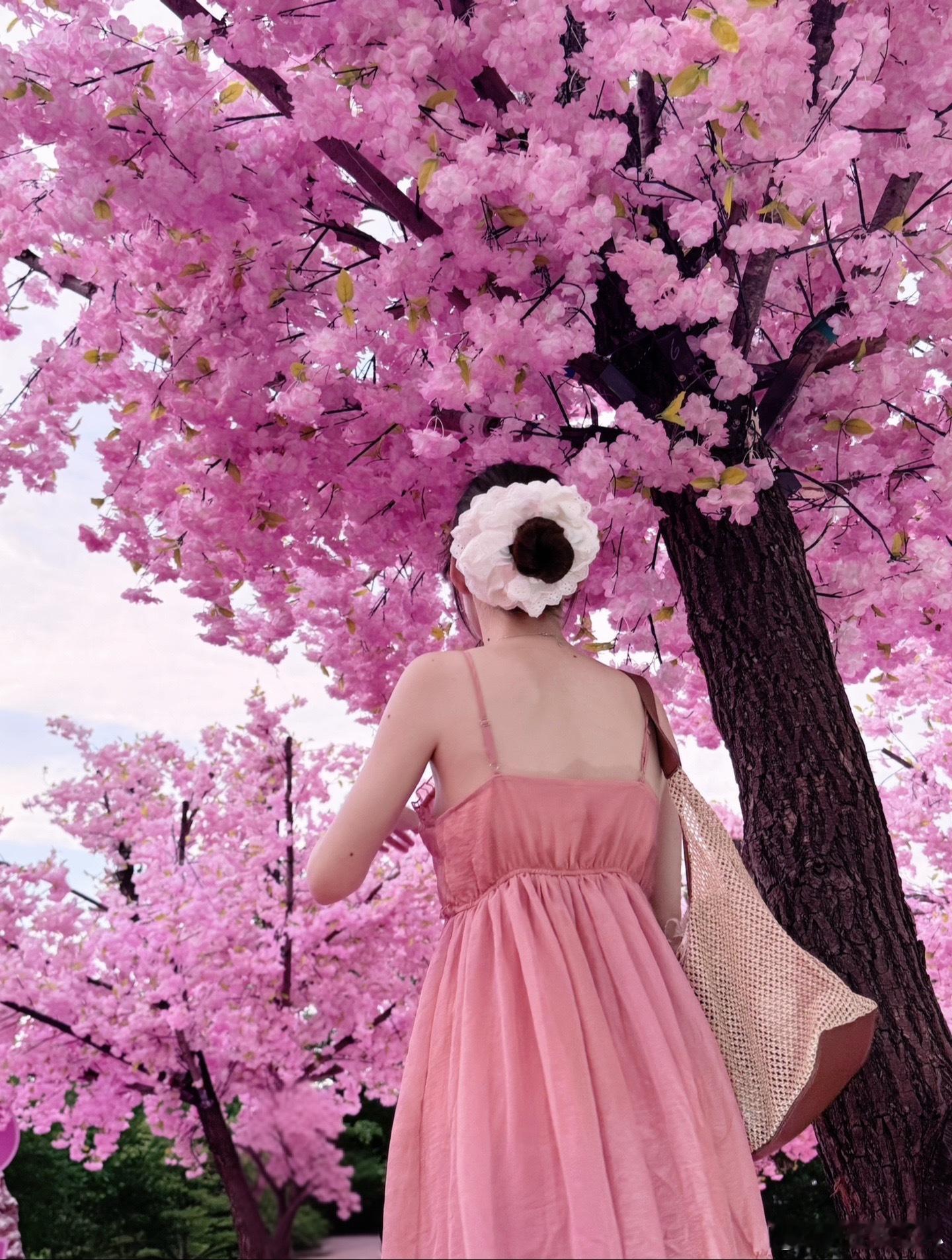 🌸 ​​​
