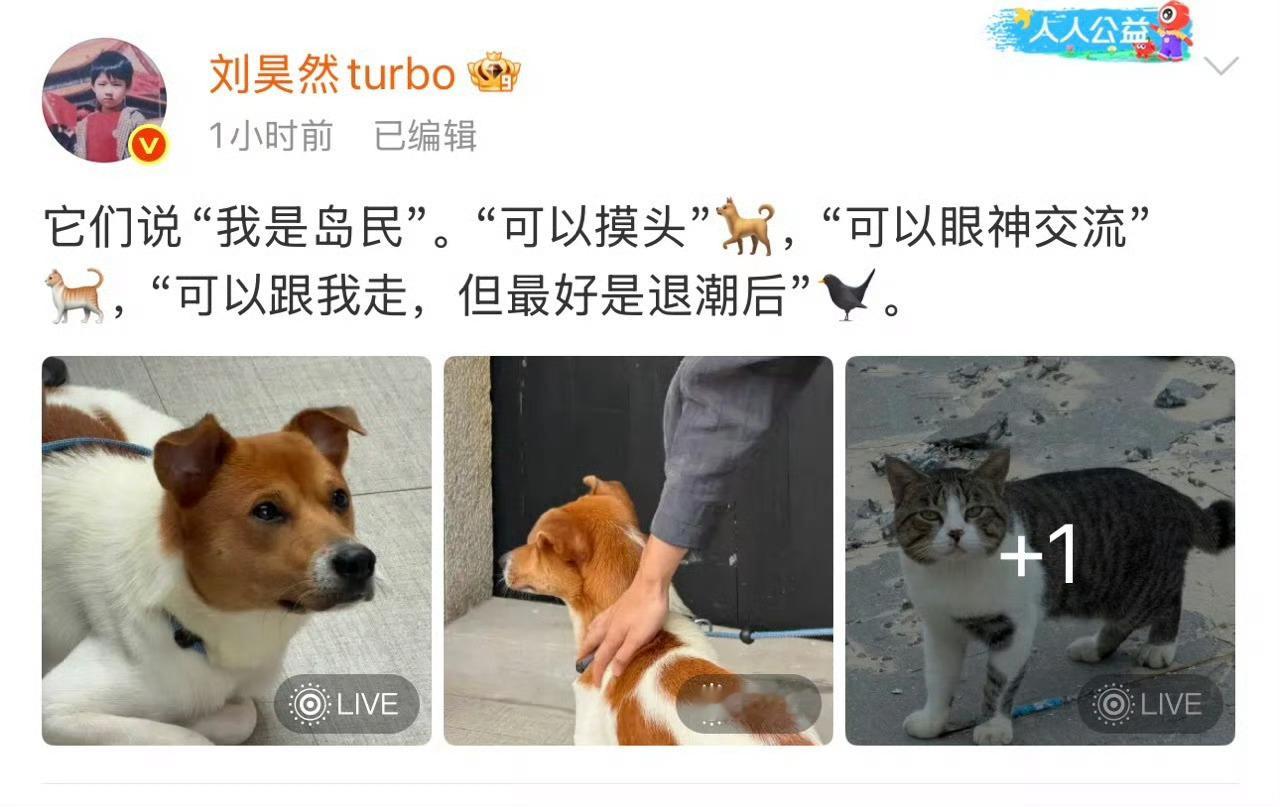 真的变成岛民小刘了，怎么偷偷进修和动物交流能力，最新微博里和大家分享并解读遇到的