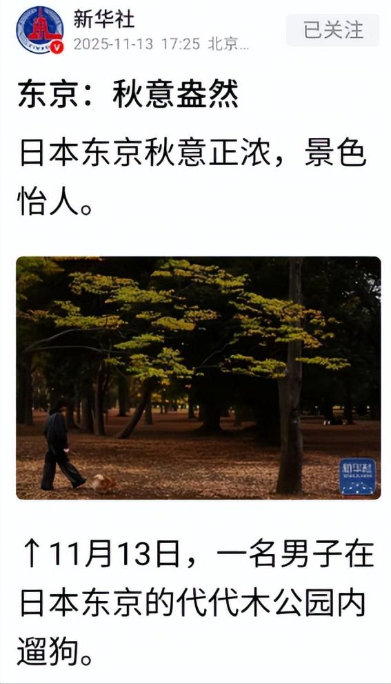 [太阳]正当全国人民都在批斗日本首相高市早苗之时，新华社突然发了一组日本东京代代