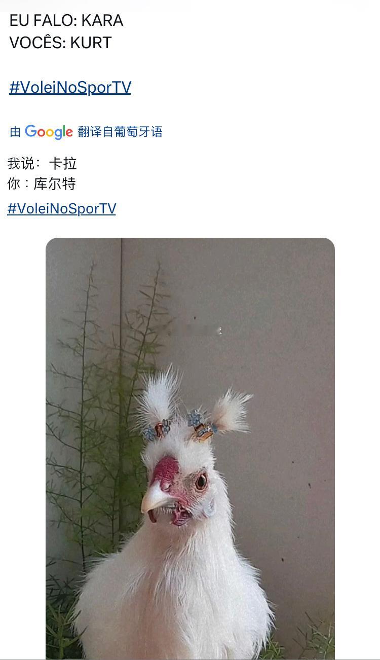 夺笋呐[doge] ​​​