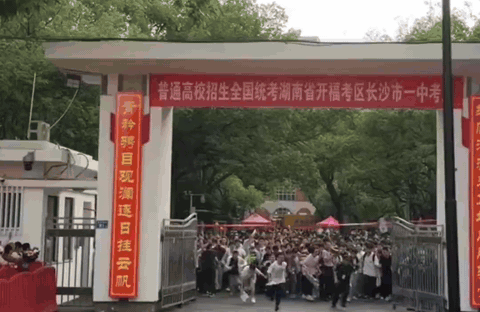 家长吐槽高报师不如AI自己多翻翻官方资料，搭着AI打辅助，把孩子的未来攥在自己手