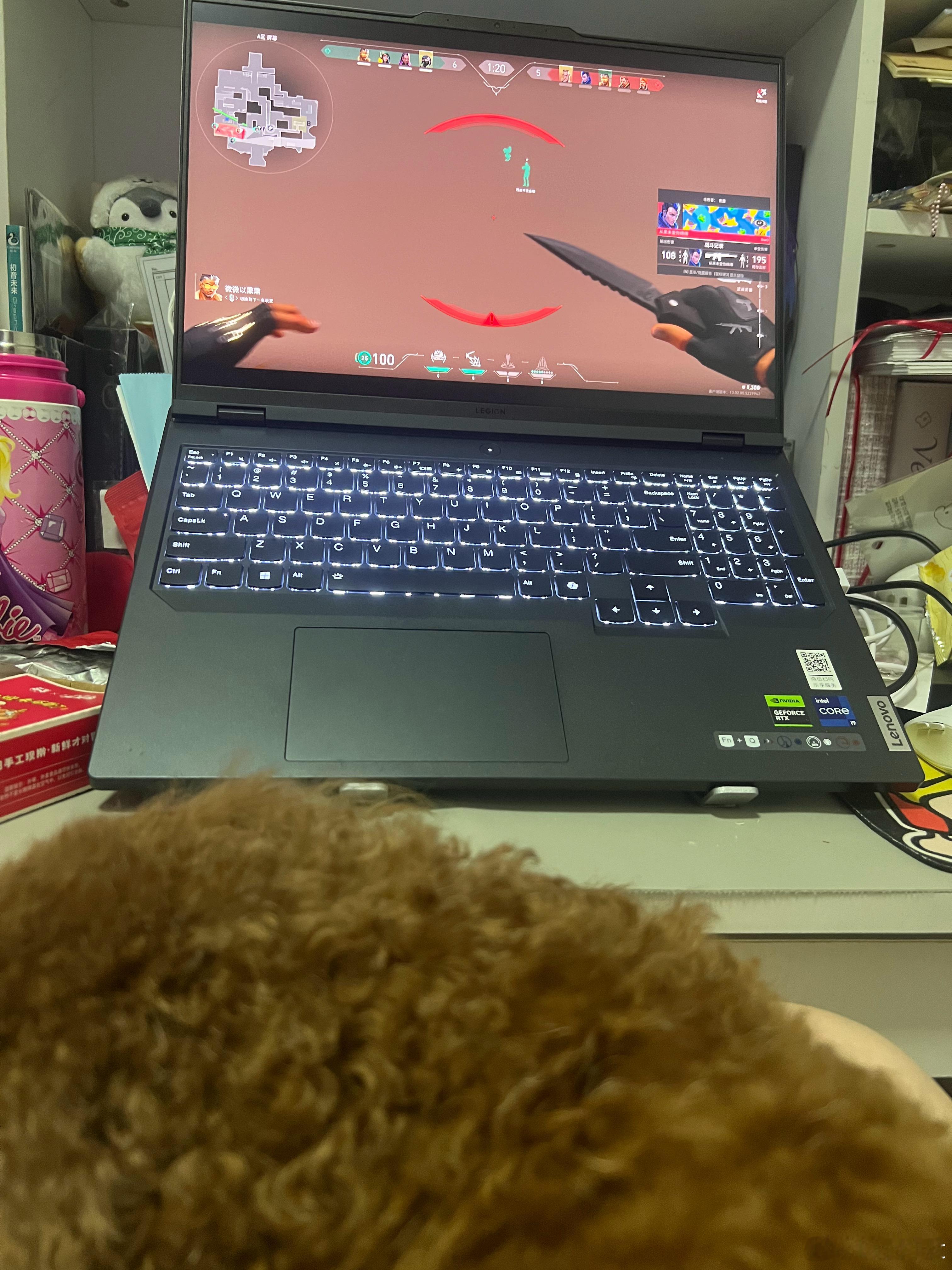 别闹了！ 