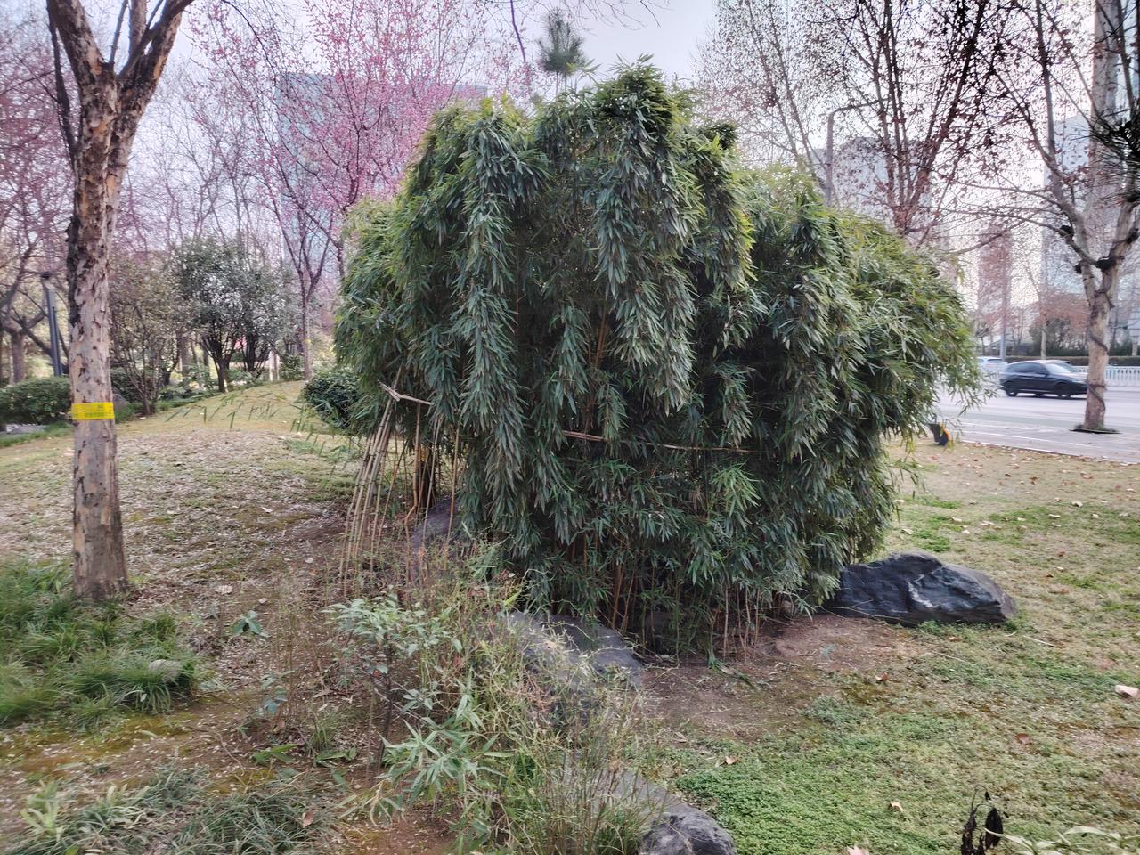 校长管理的三重境界是谨慎地拥有，珍惜地使用，勇敢地舍弃。
谨慎地拥有的含义是不要