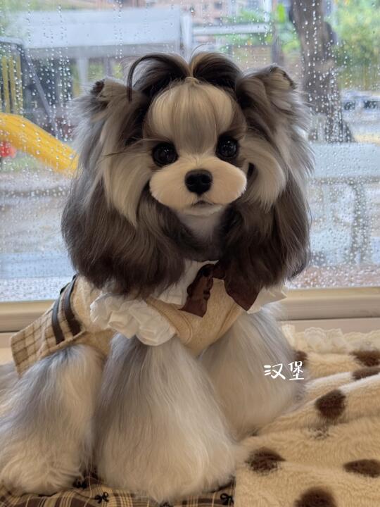 好喜欢我的小狗呀