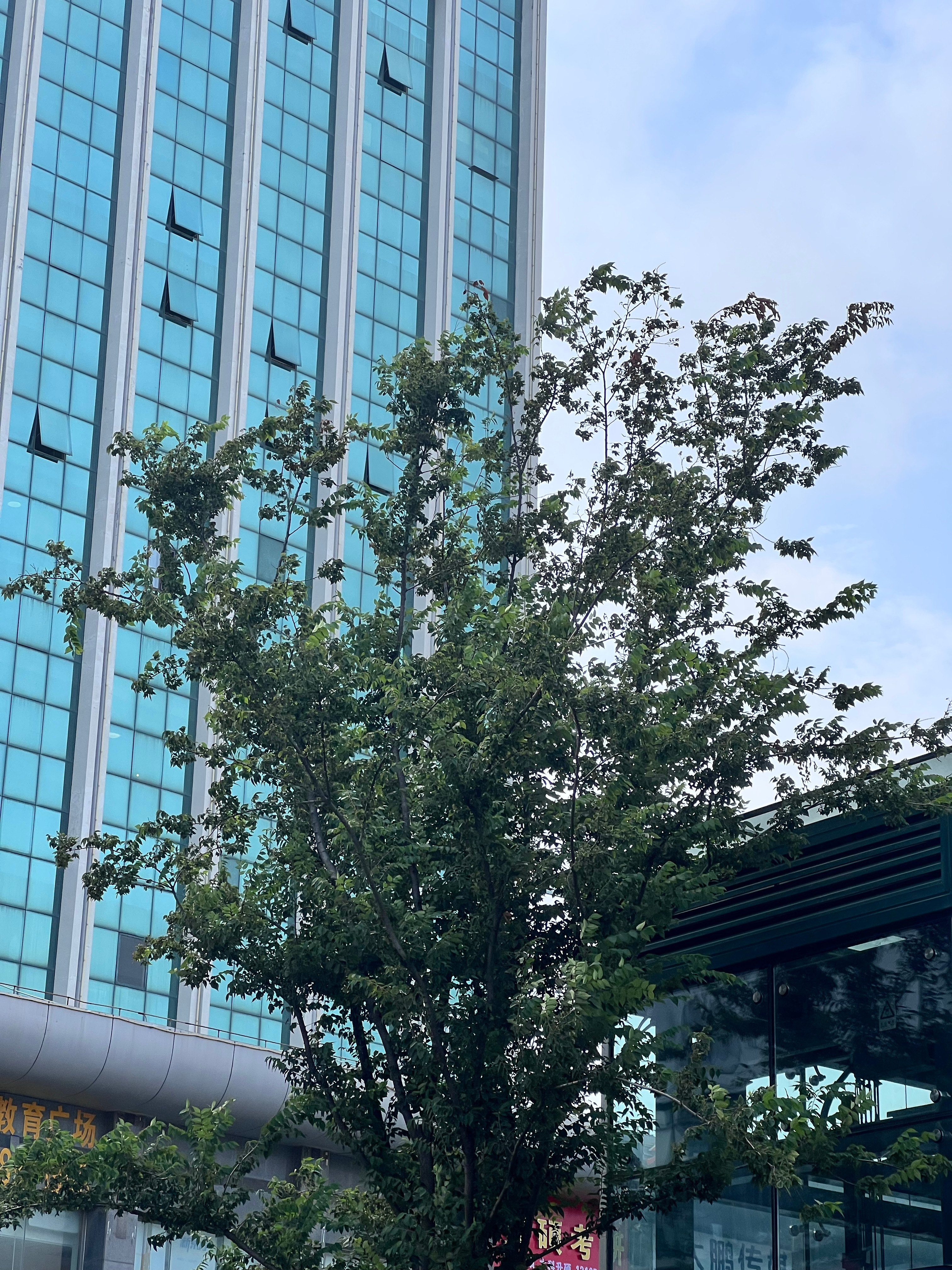 外面的风刮的呼呼的，但身上还是感觉黏糊糊的，这什么情况😰 ​​​