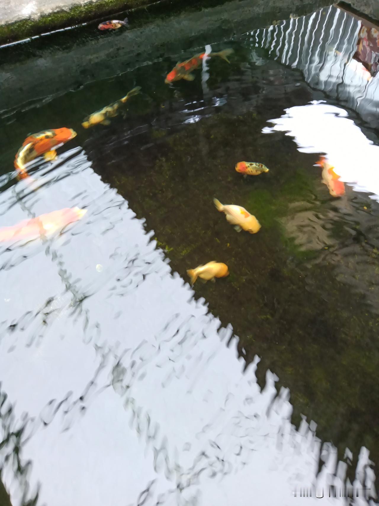 炒股有心灵感应！

炒股久了，突然发现一个很有意思的事！准的不能再准了！

当你