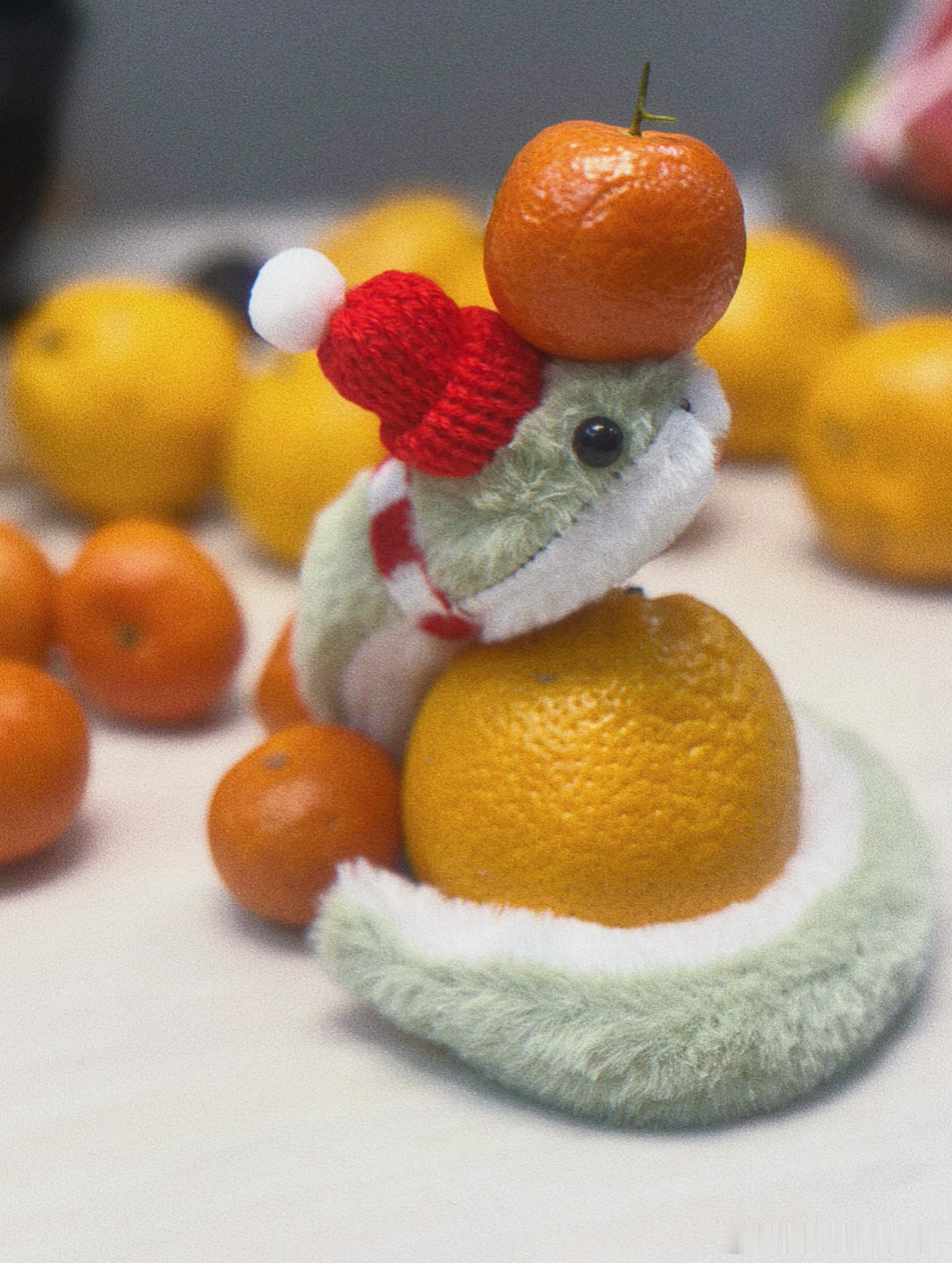 ✨新年第一条微博！带着我小蛇祝大家蛇年快乐，巳巳如意，开工大吉🍊 