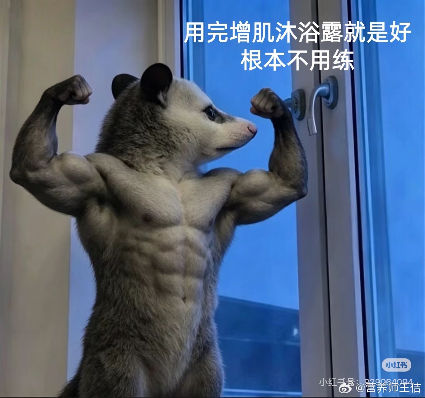 又收集了一些图