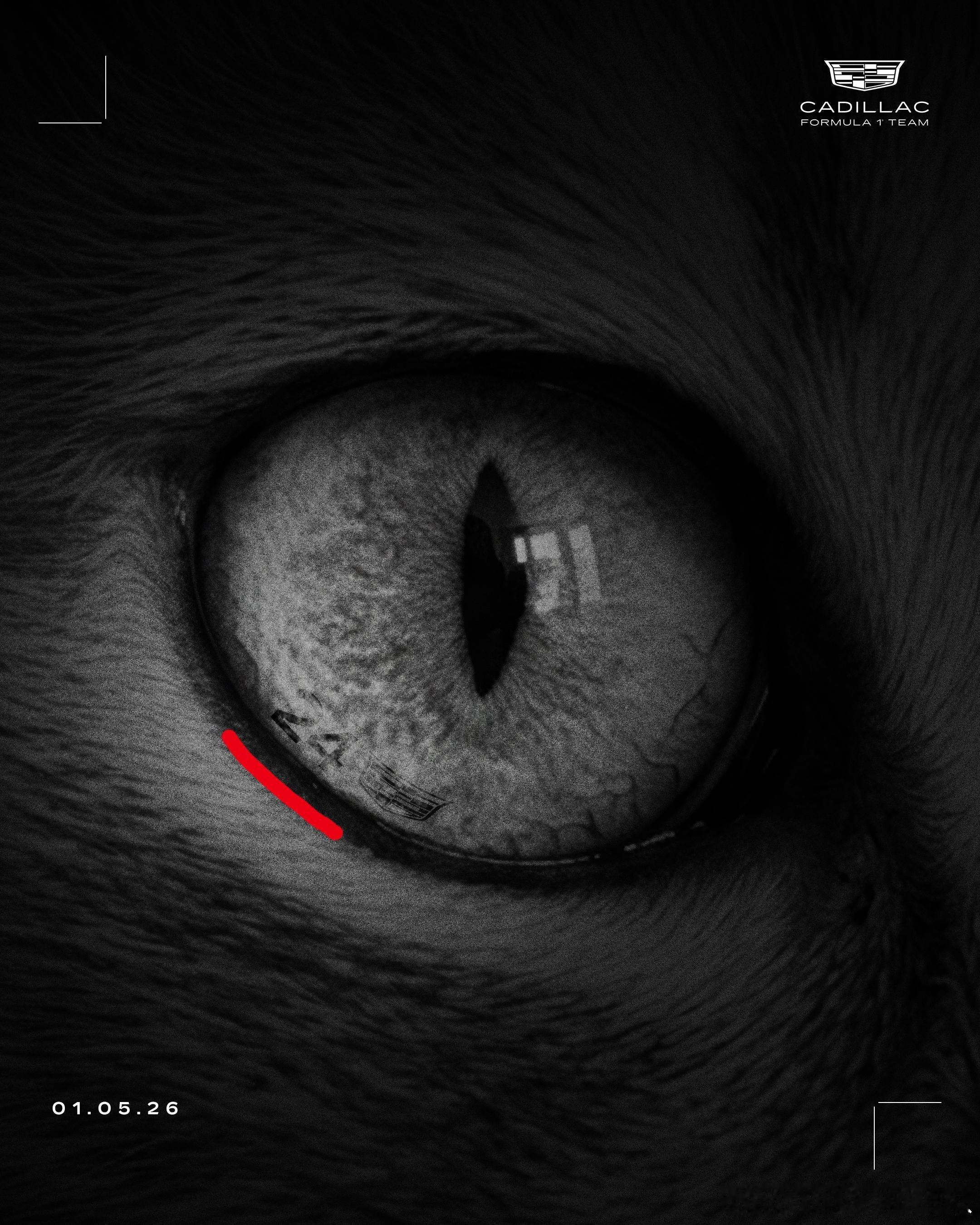 周冠宇 凯迪拉克原来眼睛里面暗藏玄机周冠宇应该是凯迪拉克的预备车手机会感觉会比在