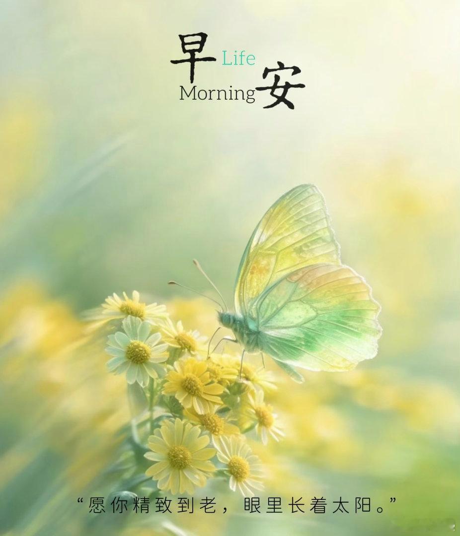 生活不是等待暴风雨过去，而是学会在雨中跳舞。”与其抱怨泥泞，不如种下鲜花。“愿你
