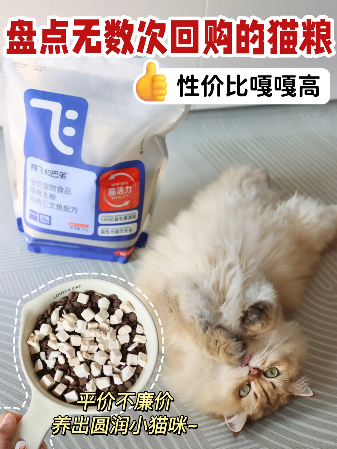 盘点无数次回购的猫粮，性价比嘎嘎高