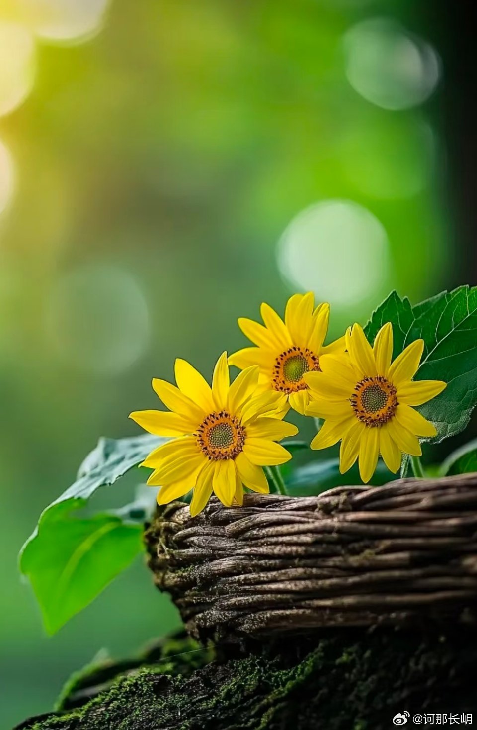 选择善良时，我们就选择了成为一个更好的自己《人民日报》"善良，会为我们吸引来更多