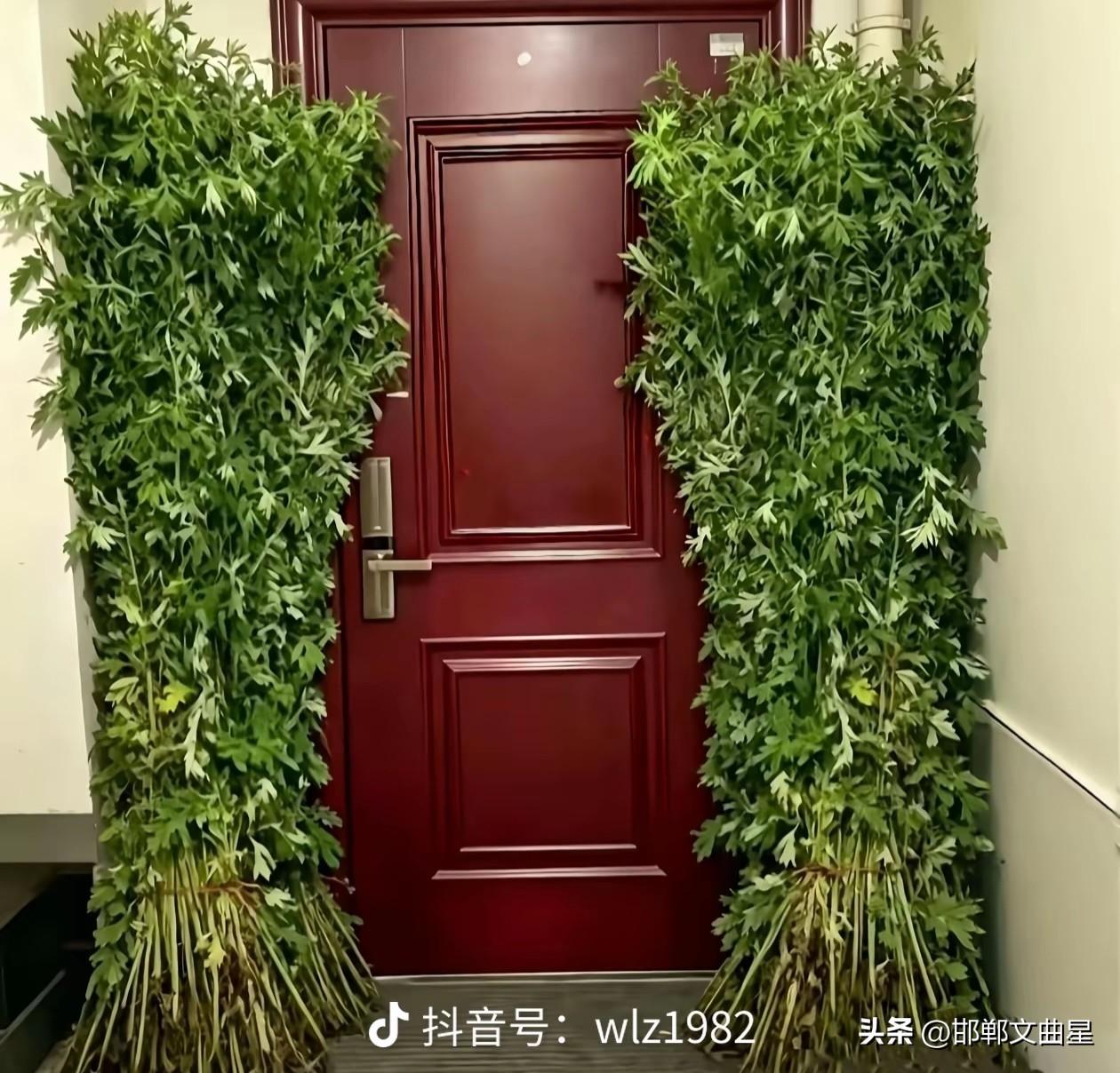 原来端午节家门口艾草是这样放的！

这是今天端午节我家邻居门口放的艾草，过端午节