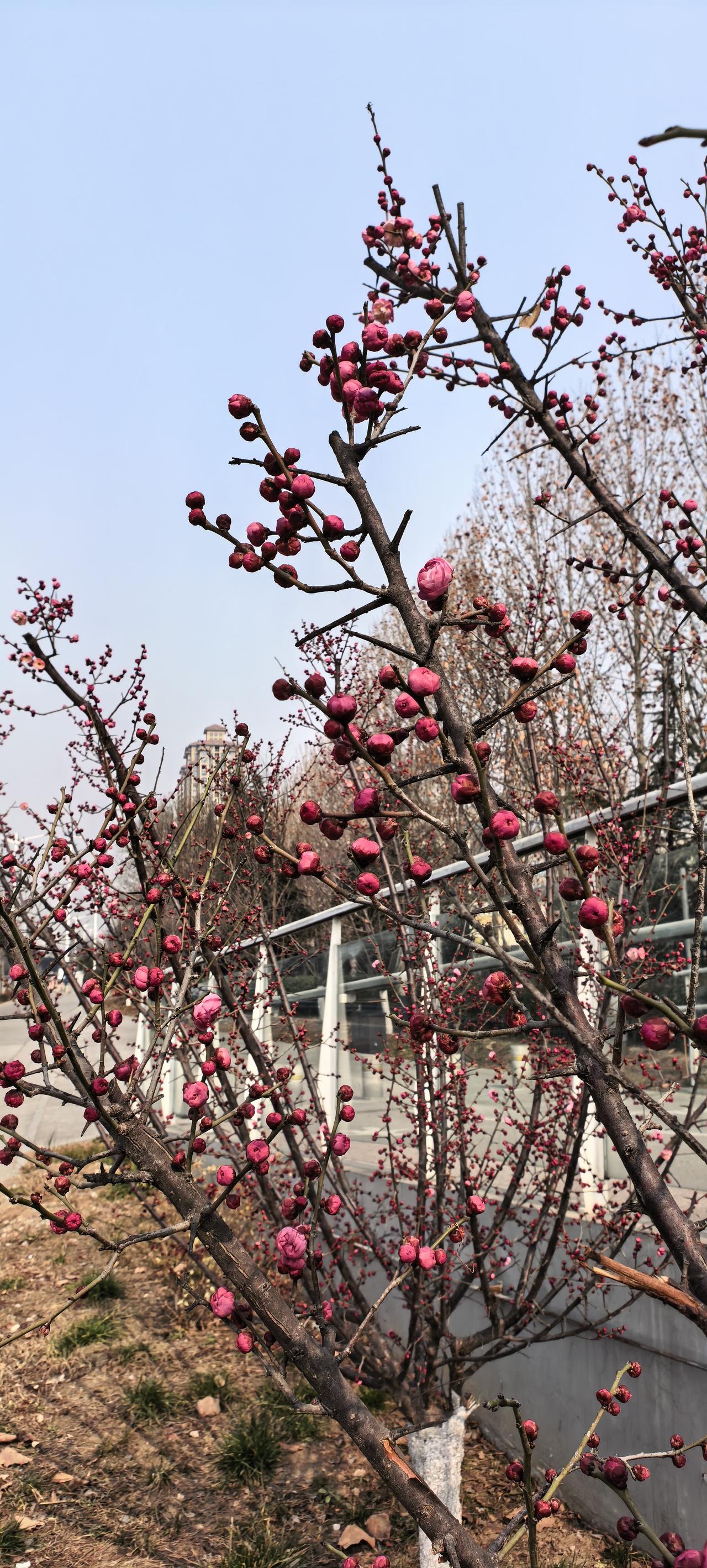 河南矿山崔总有句话说，我们的企业不做公益事业。原因是作为一个民营企业，首先要把员