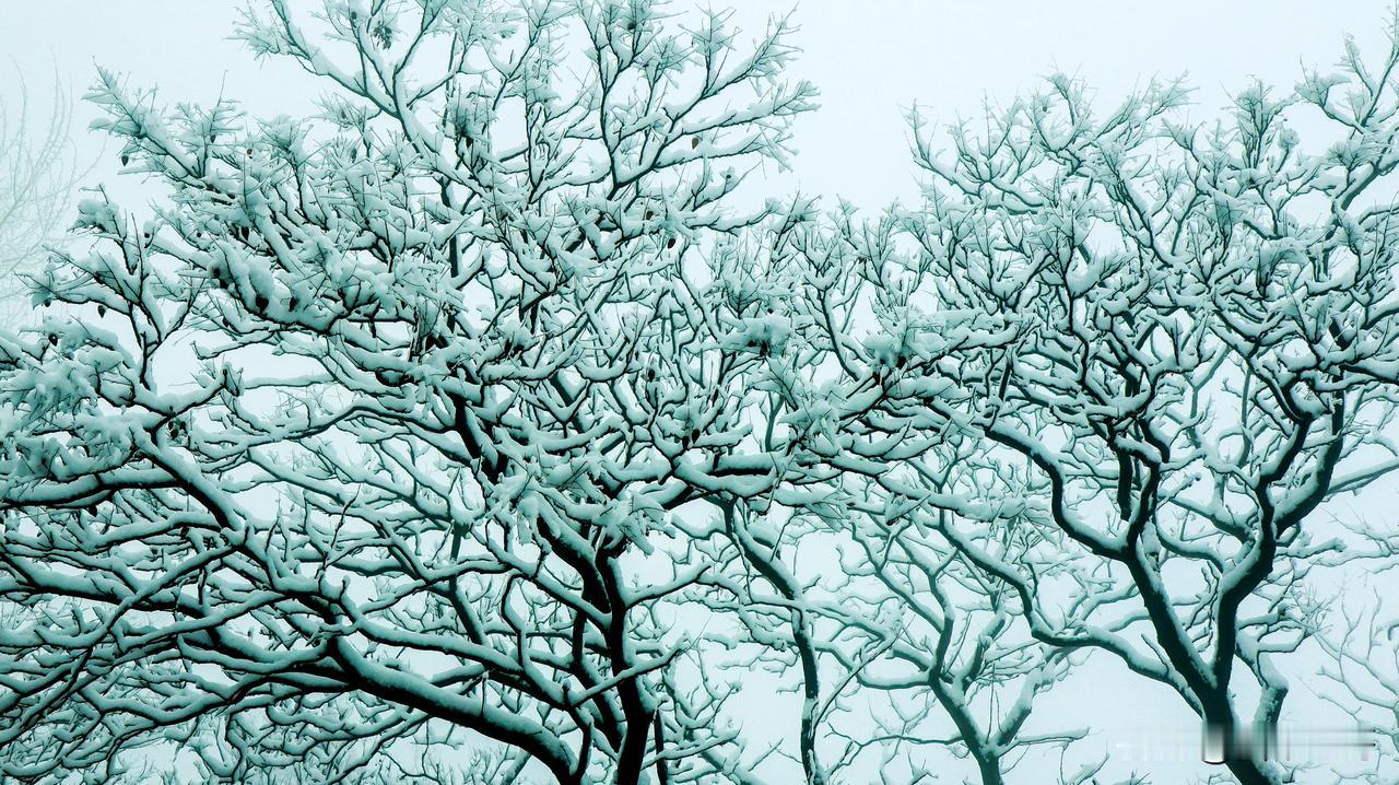 什么地方的雪景最美太行山