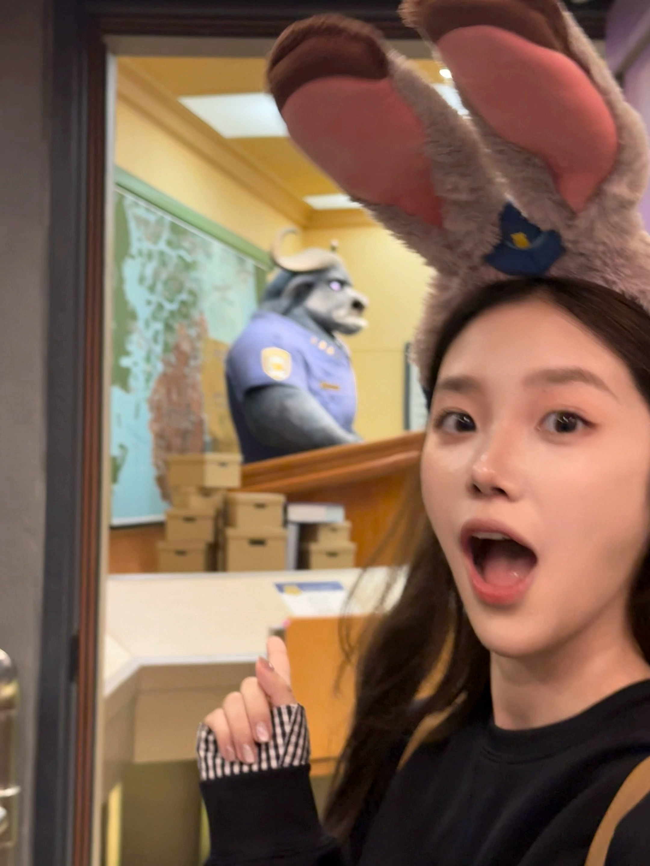 Zootopia～照片太多啦 藏不住一点照片 ​​​