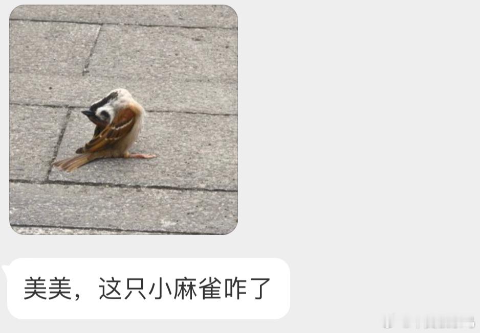 好奇怪的姿势啊不知道是不是脖子出问题了… ​​​