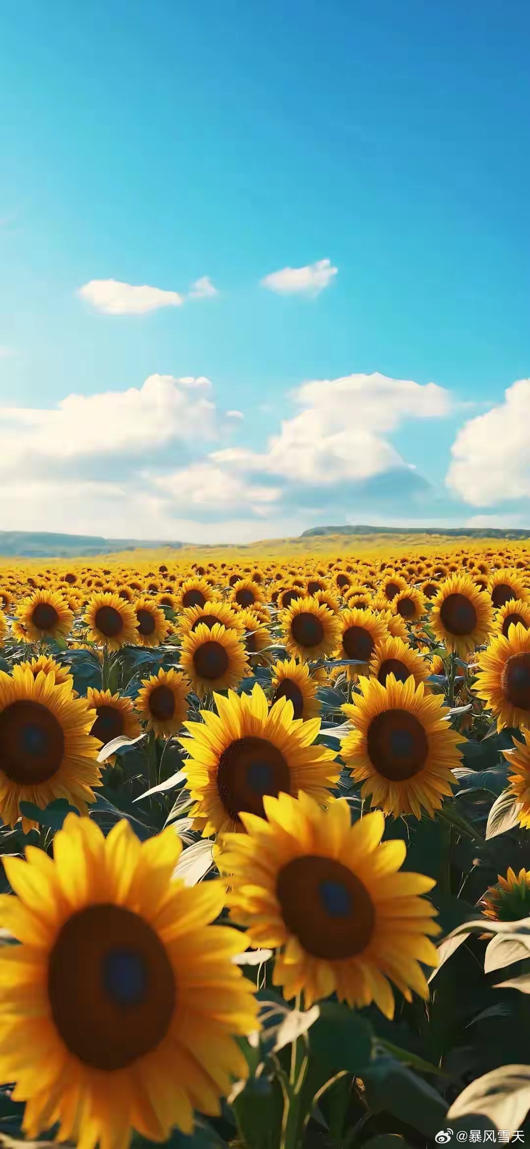 各位老铁早上好！ 股市背后的故事