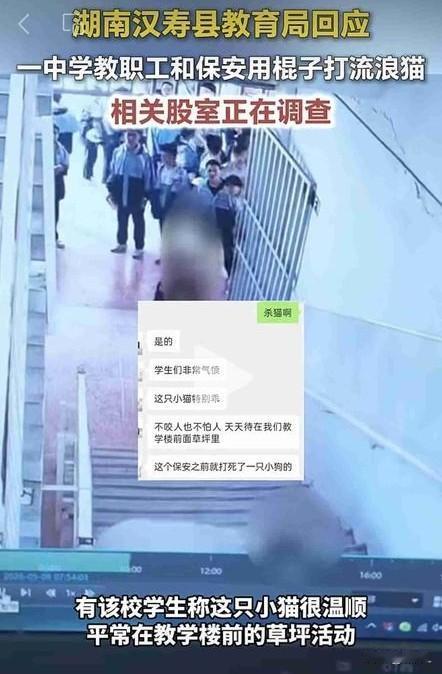 湖南一中学保安棒打流浪猫，被调离岗位！网友吵翻：怕伤人就该往死里打吗？
 
近日