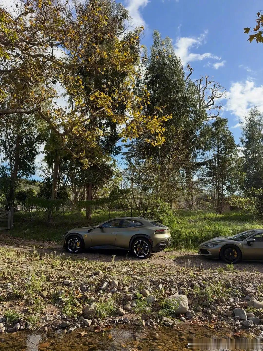 在荒郊野岭贵气依旧的兄弟俩