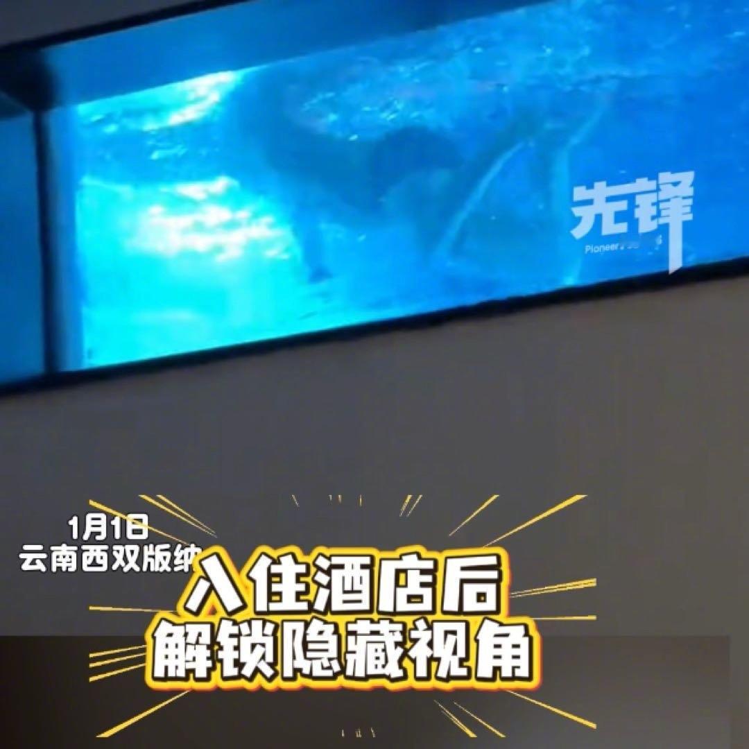 元旦假期，云南西双版纳的谢女士因酒店房源紧张被安排进了一间“隐藏款”房间，拉开窗