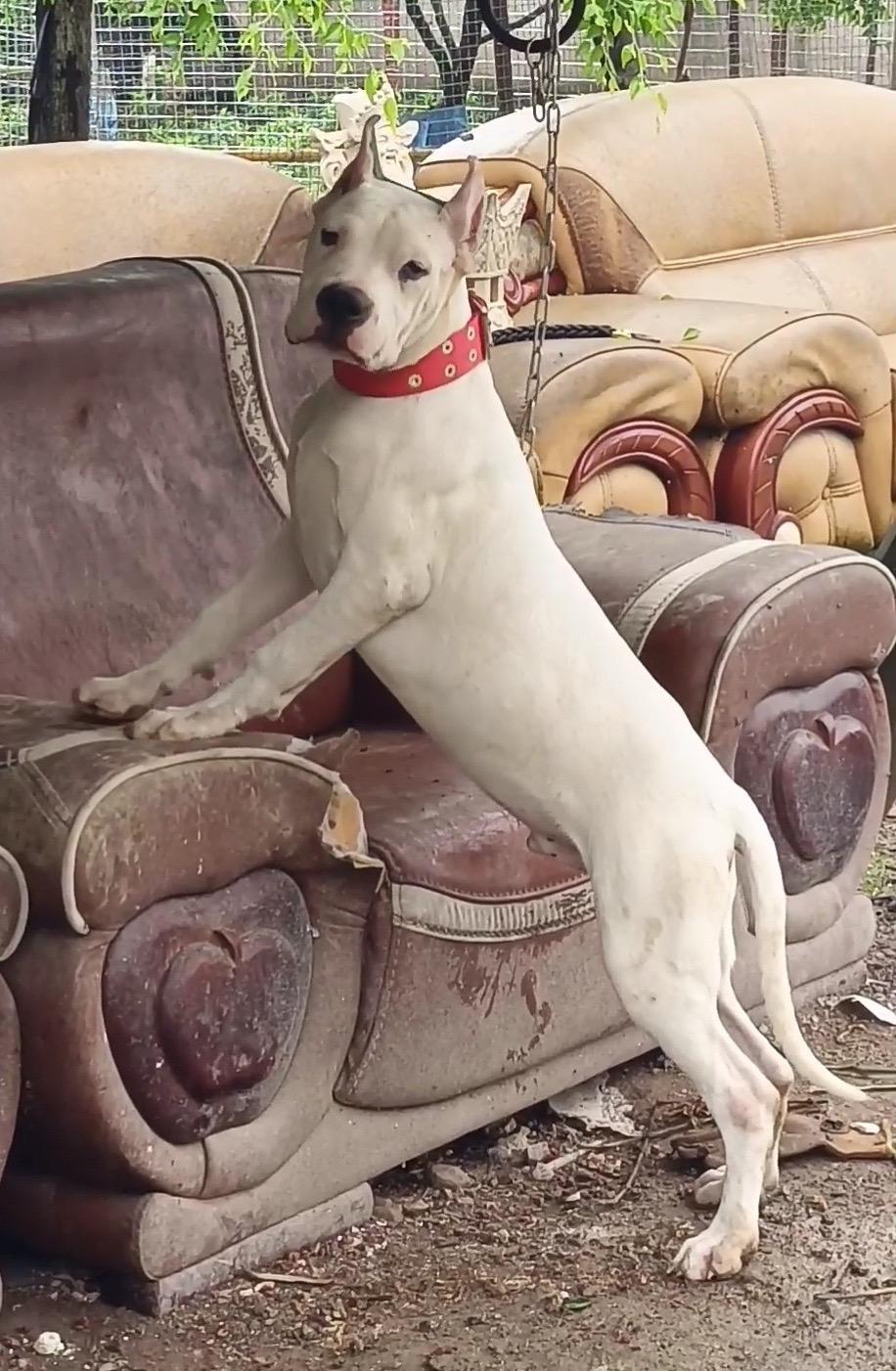 亚当，父二代，什么叫做颜值担当。