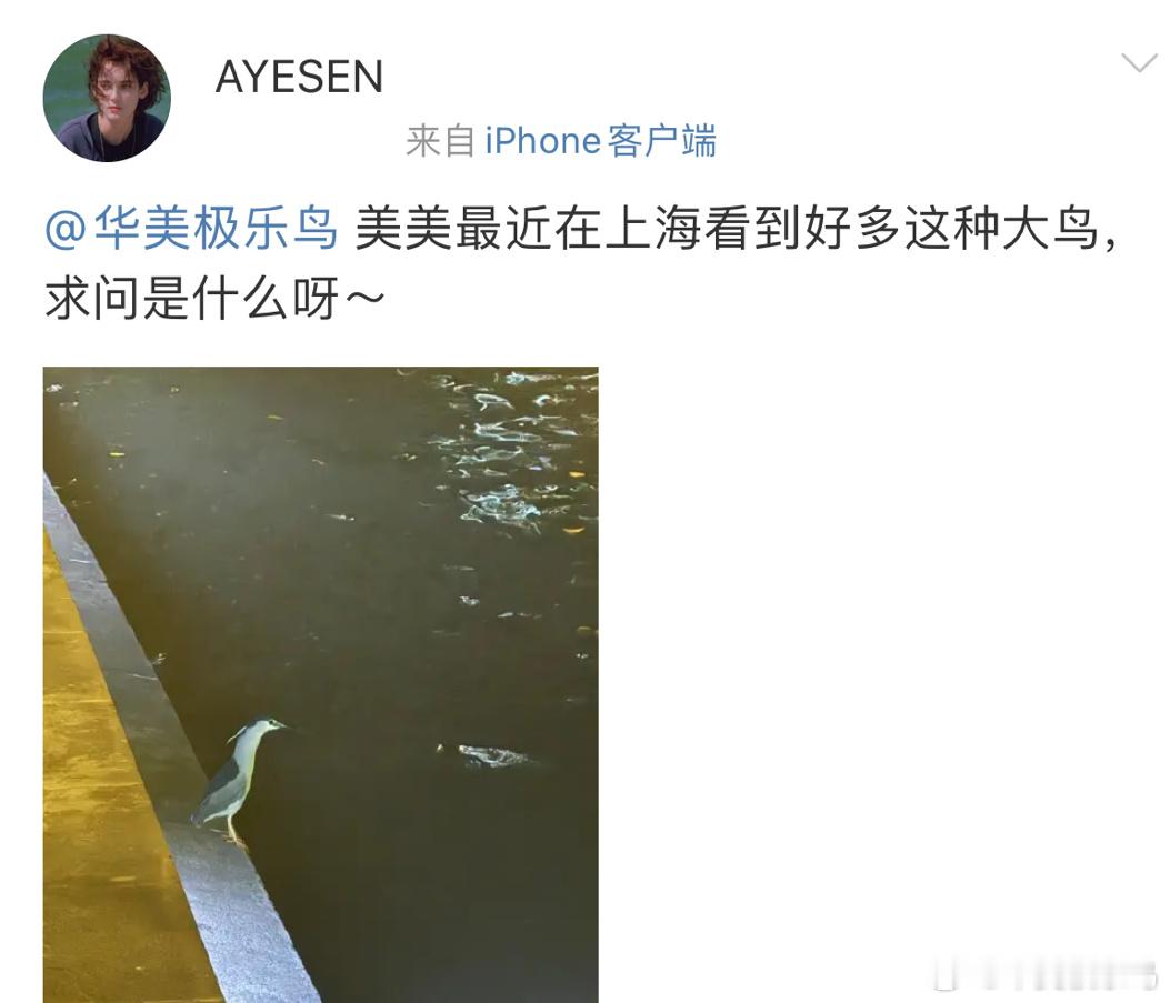 送分题环节～人见人爱的[开学季] 自信地叫出它滴名字！ ​​​