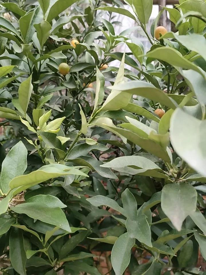 早上起床,你该喝温水还是凉水?这个看个人吧，我每天早上起床喝一杯淡盐水，也不知道