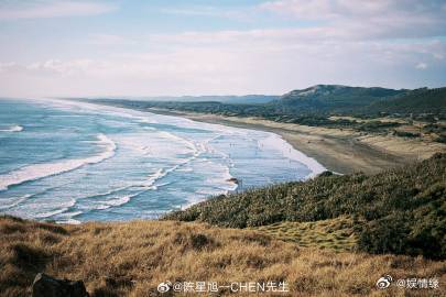 陈星旭毛茸茸认证 毛茸茸在鸟岛打卡啦，治愈的海风、灵动的飞鸟，还有镜头里那个温柔