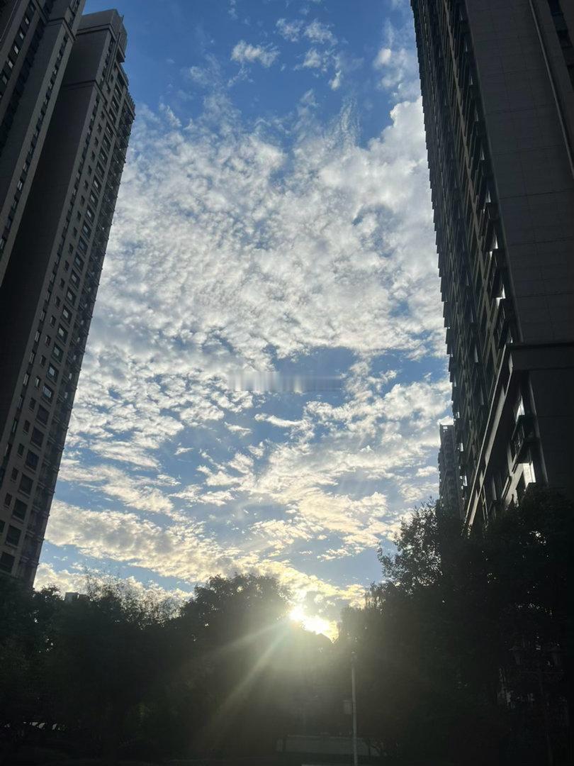 早呀宝宝们！今天也是开开心心的一天耶耶耶！昨晚和yuyu宝聊嗨了聊到停不下来，我