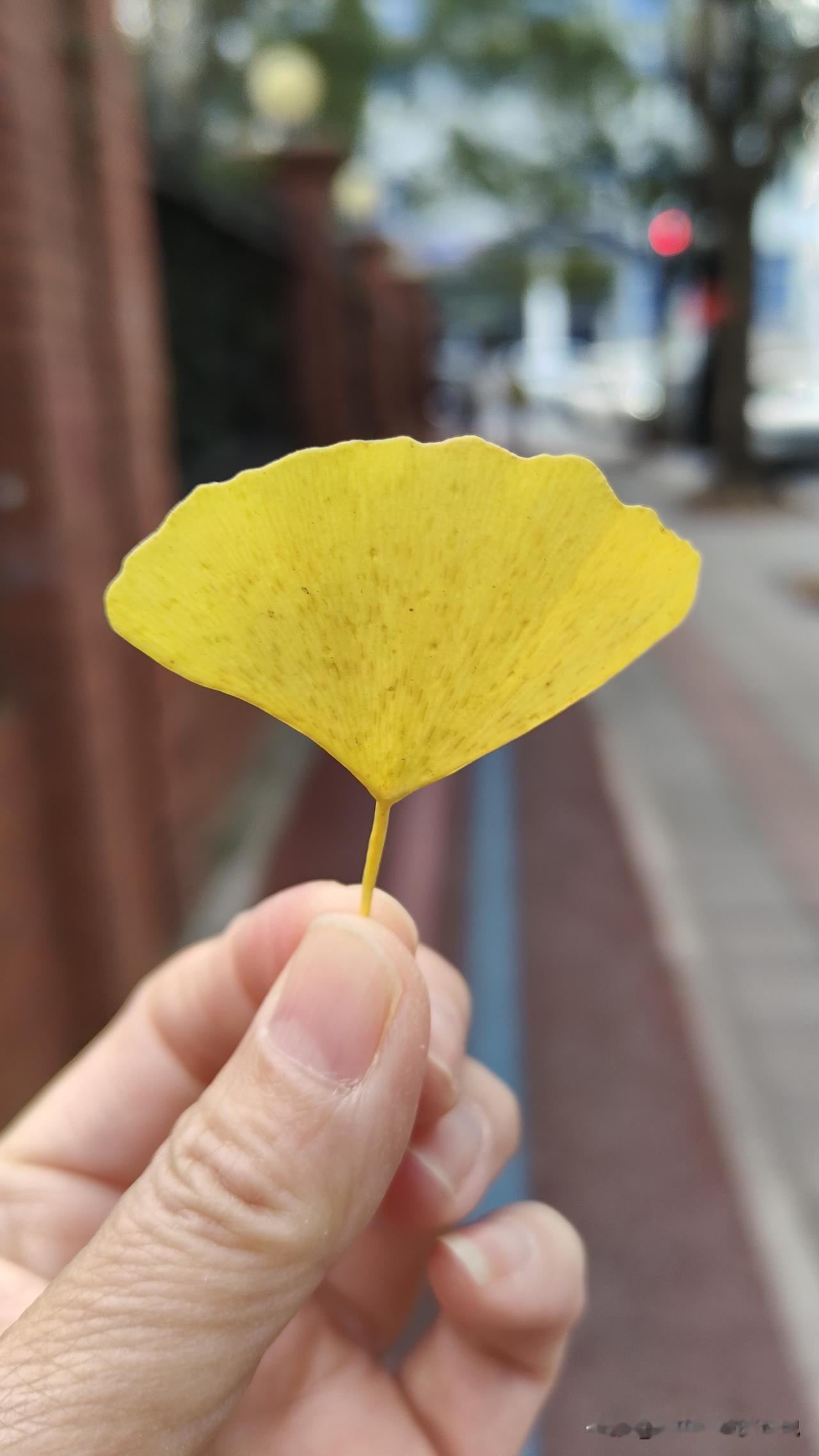 冬日生活打卡季