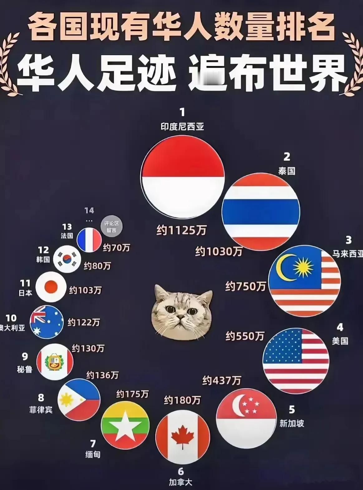 各国现有华人数量排名：
1.印度尼西亚：1125万
2.泰国：         