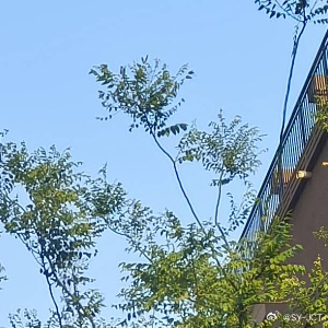 每日一善每日一善 对于生活，要存有期冀，存有感恩之心，但不作非分之想。一个生日怎