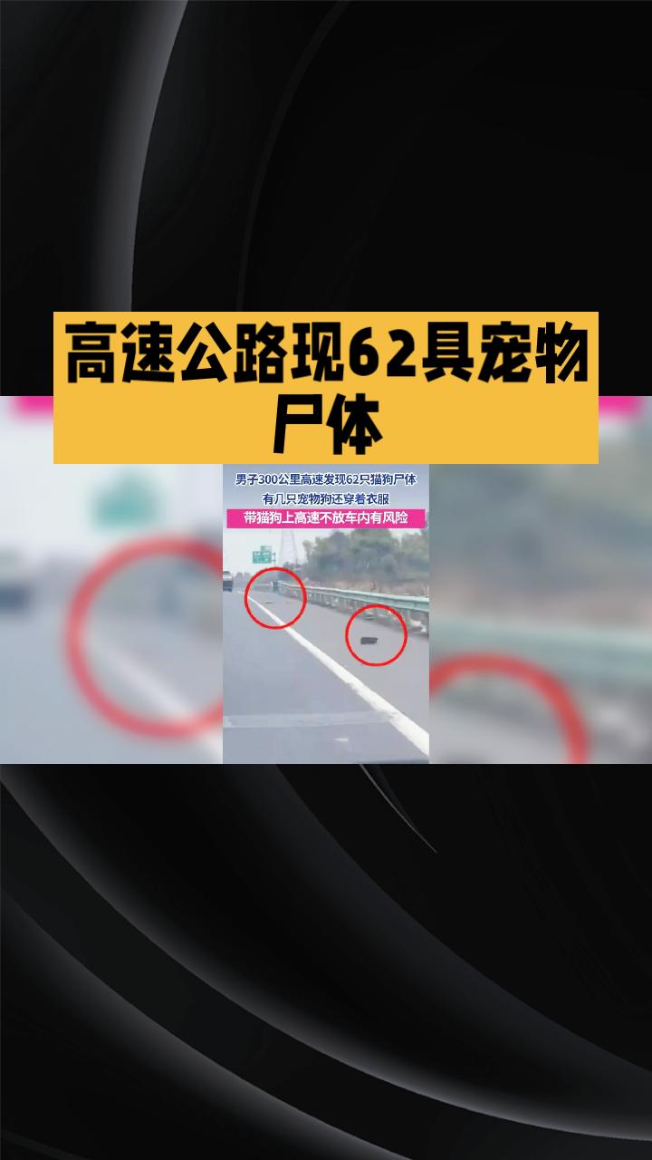 春节期间，高速公路上竟出现了62具宠物尸体，这引起了广泛的关注和讨论。这些家养的