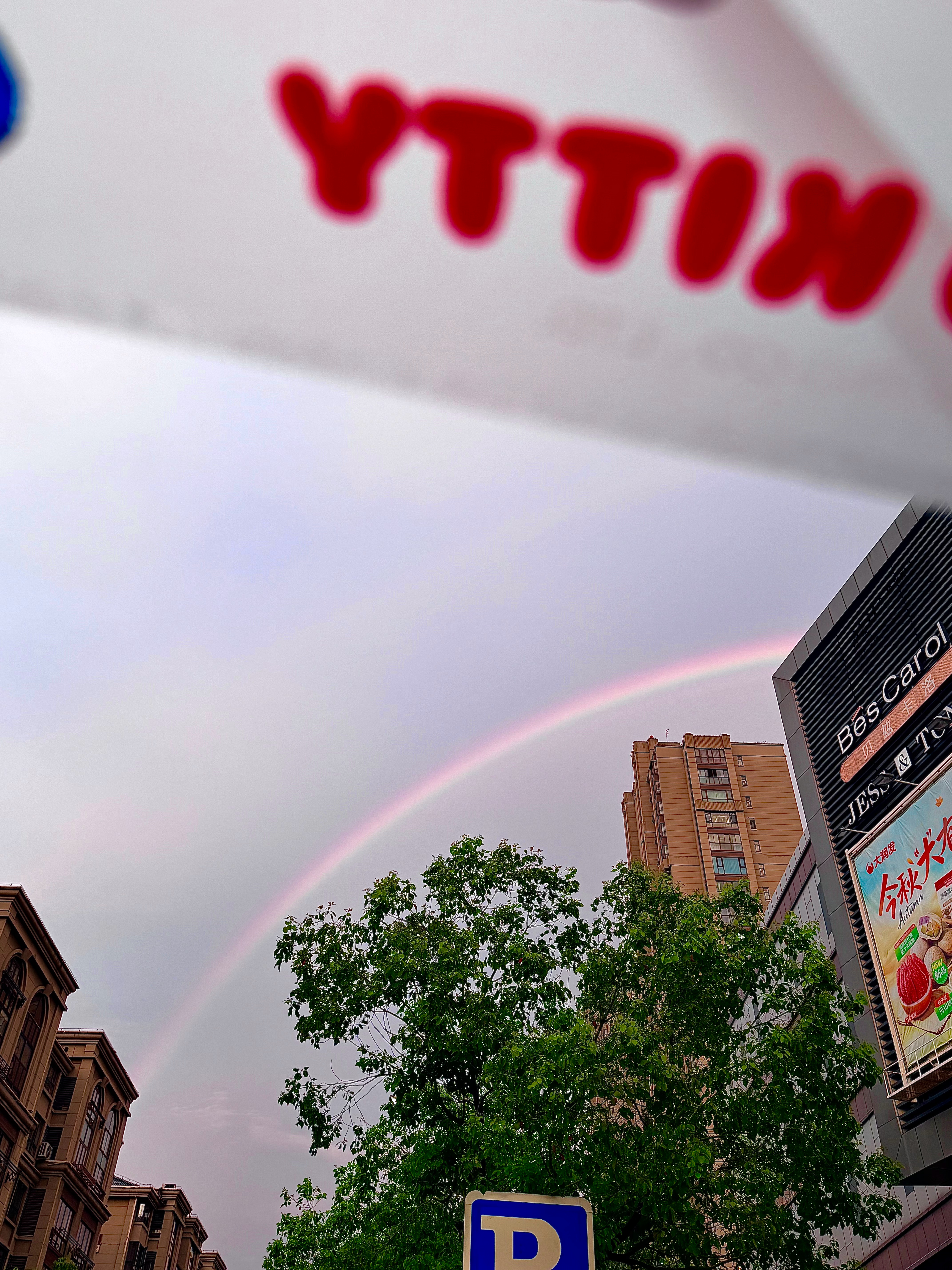 🌈 