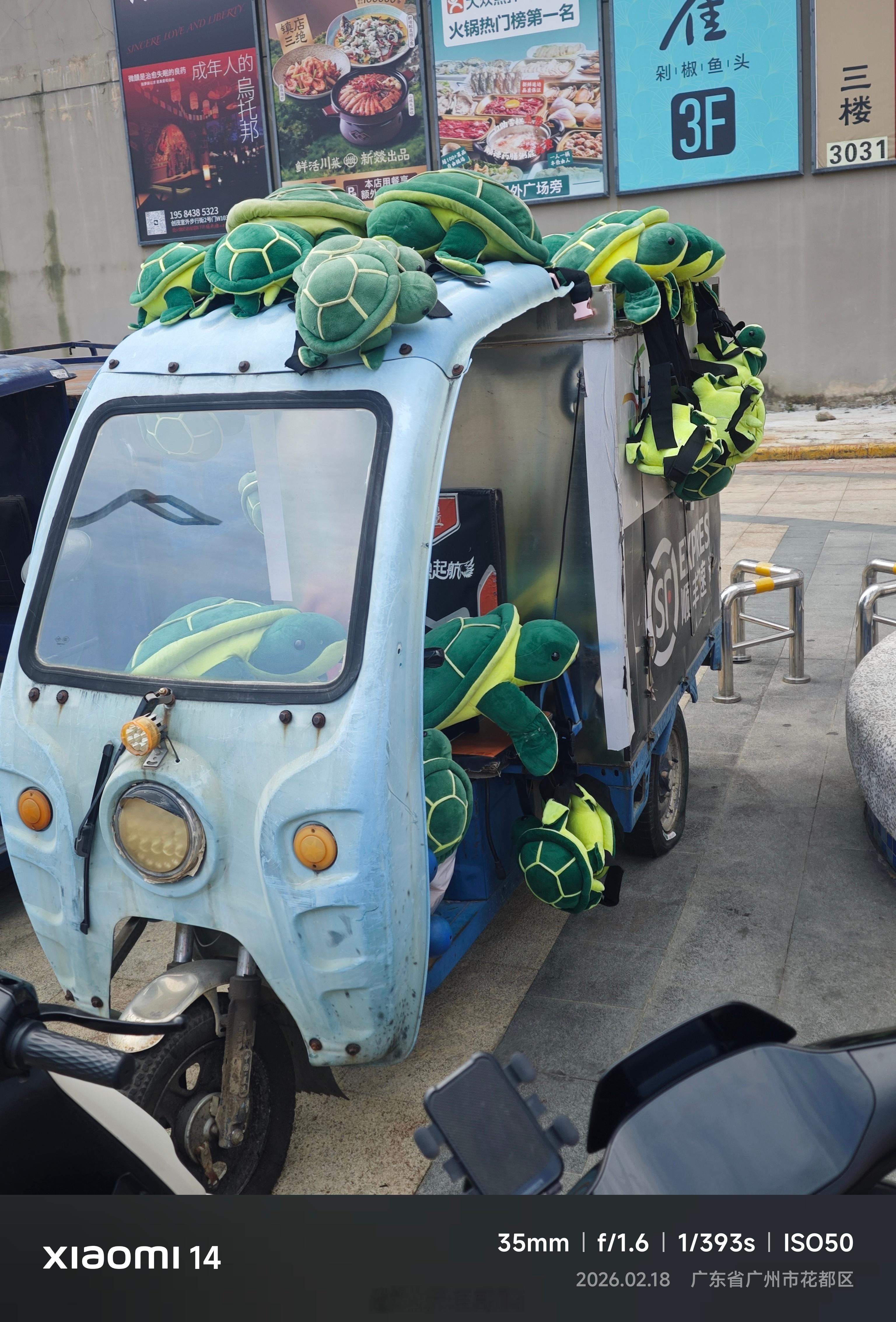 山东泰山 大街上看到这哈干嘛用的？ 