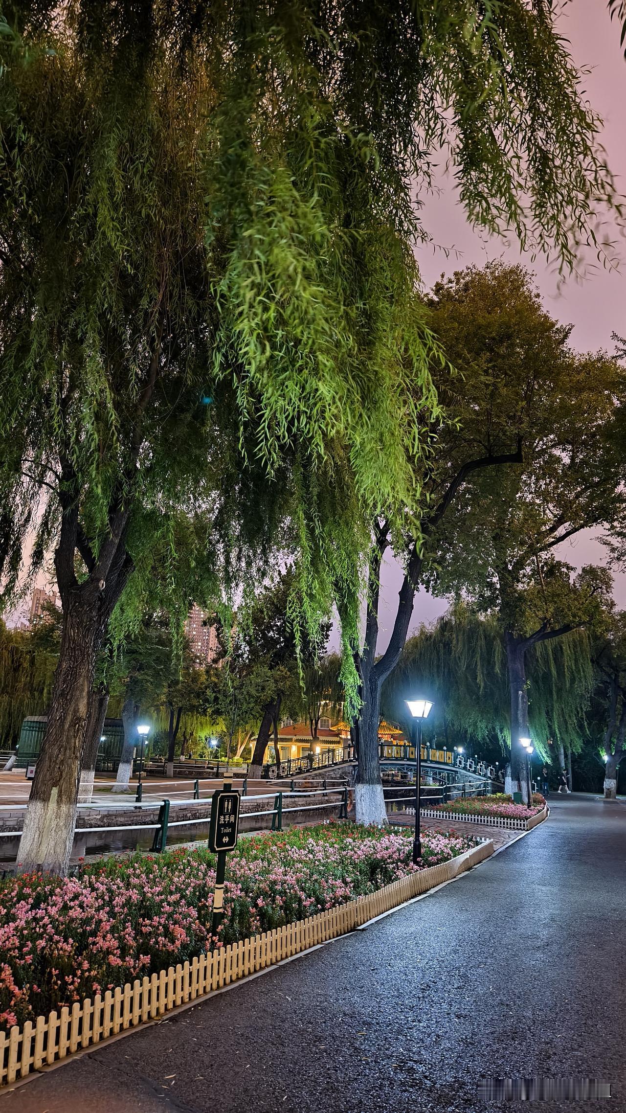 小风疏雨萧萧地，这可是贼舒服。
晚上23℃！
你知道这个温度意味着啥吗？凉快！