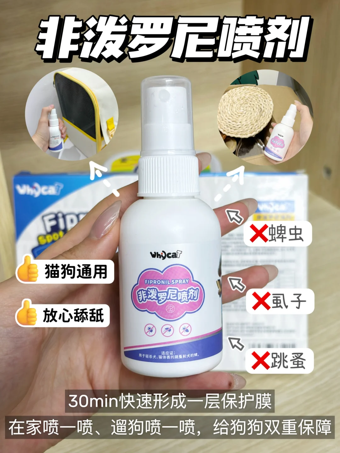 🐾｜狗狗驱虫怎么做?教你简单一招搞定它❗️