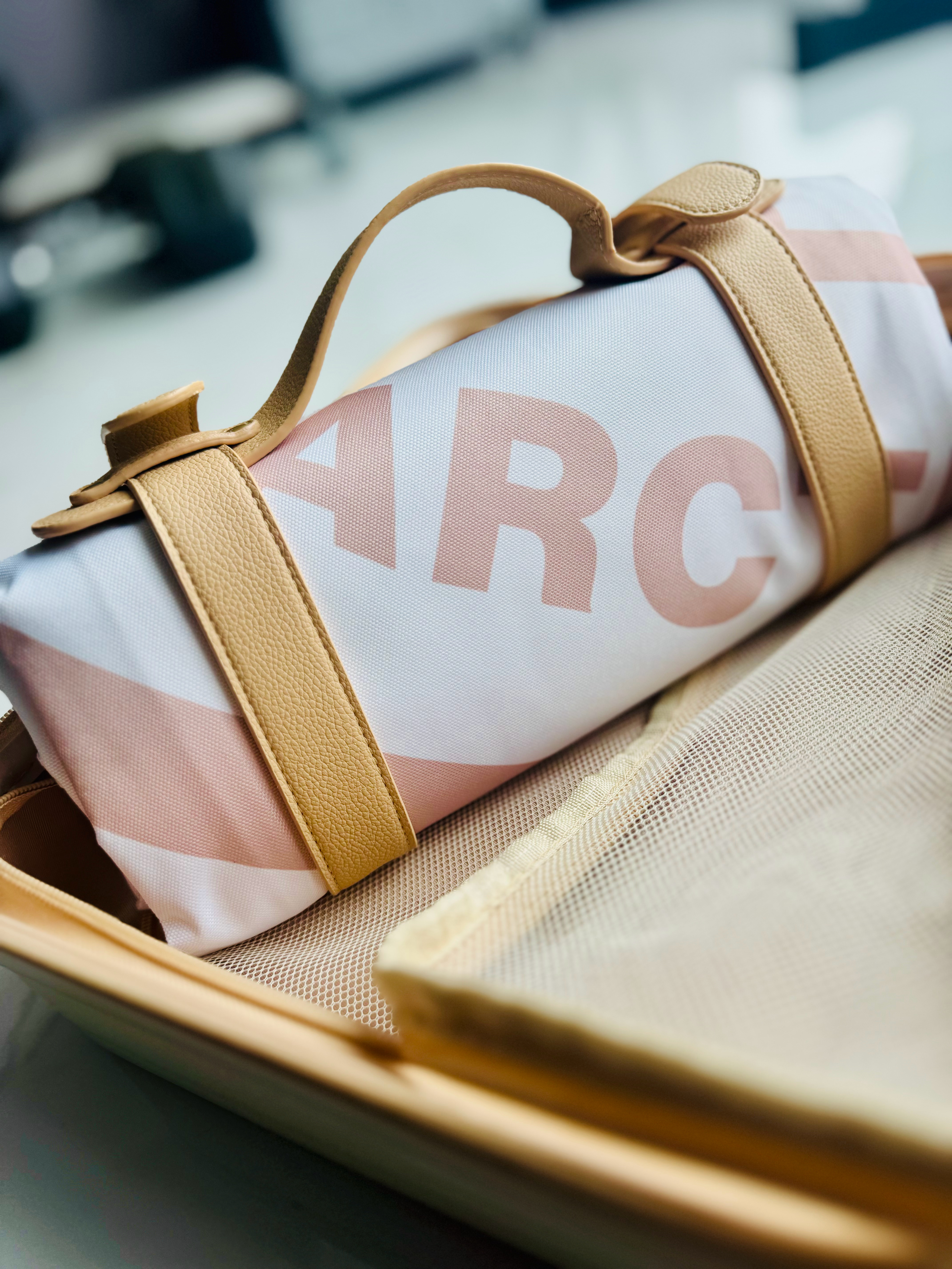 收到奖品给予的加拿大鹅的钢制露营包！给它配在家里哪台车里呢？李楠说道李楠说道一起