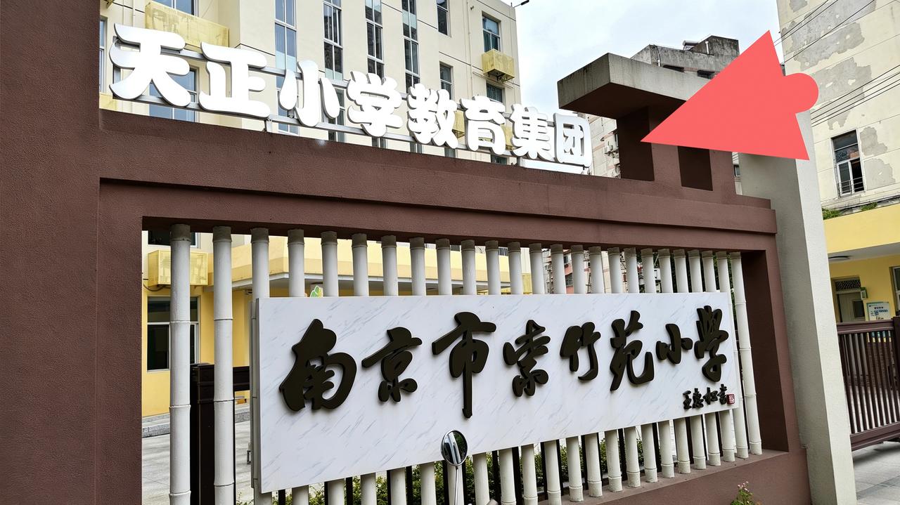 在南京，听讲过拉小教育集团、瑯小教育集团等名牌教育集群，天正小学教育集团还真没听
