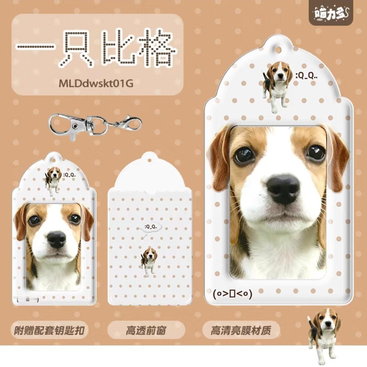 感觉写了syj的名字 