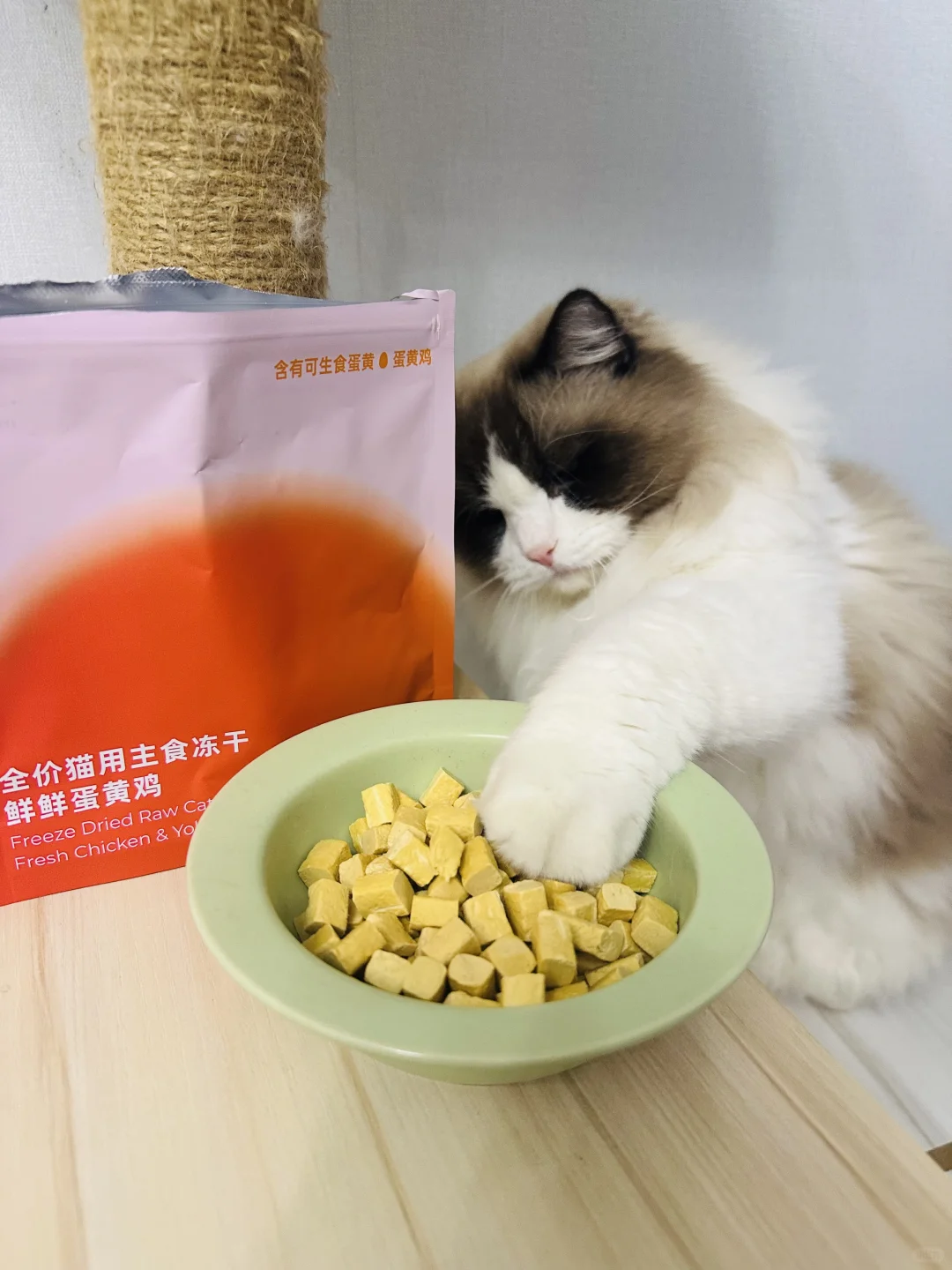 挑嘴猫咪都拒绝不了的小零食～