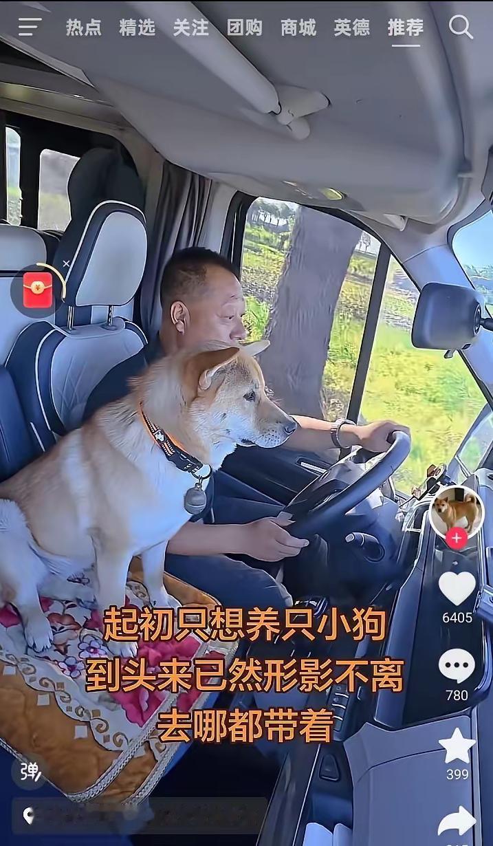 温馨的一幕！黑龙江的一个货车司机吐槽，自己当初就是想养只小狗有个陪伴，万万没想到