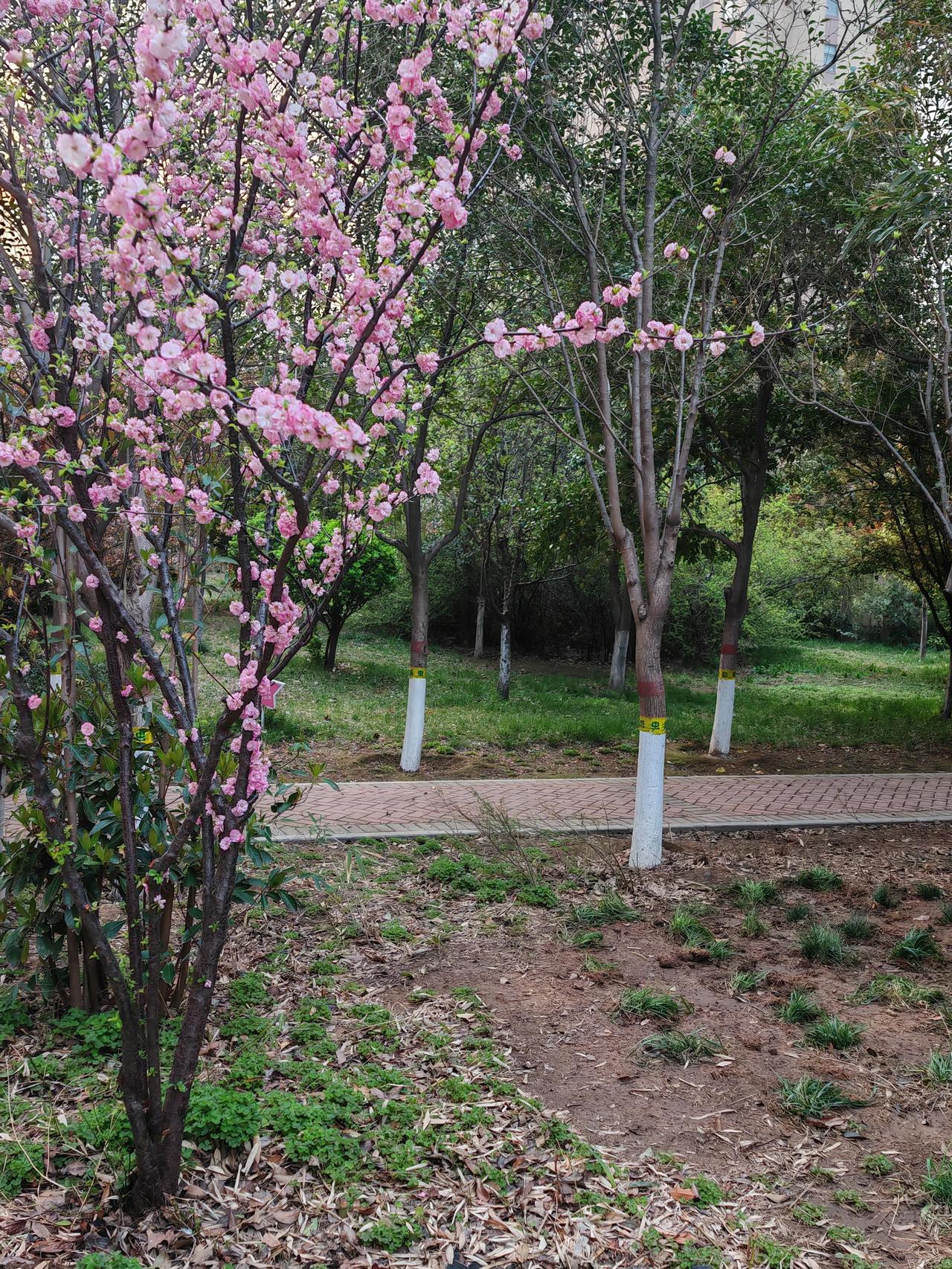 到了怀旧的年龄，常常回味过去。

上大学时，读了很多书。书的唯一来源是学校图书馆