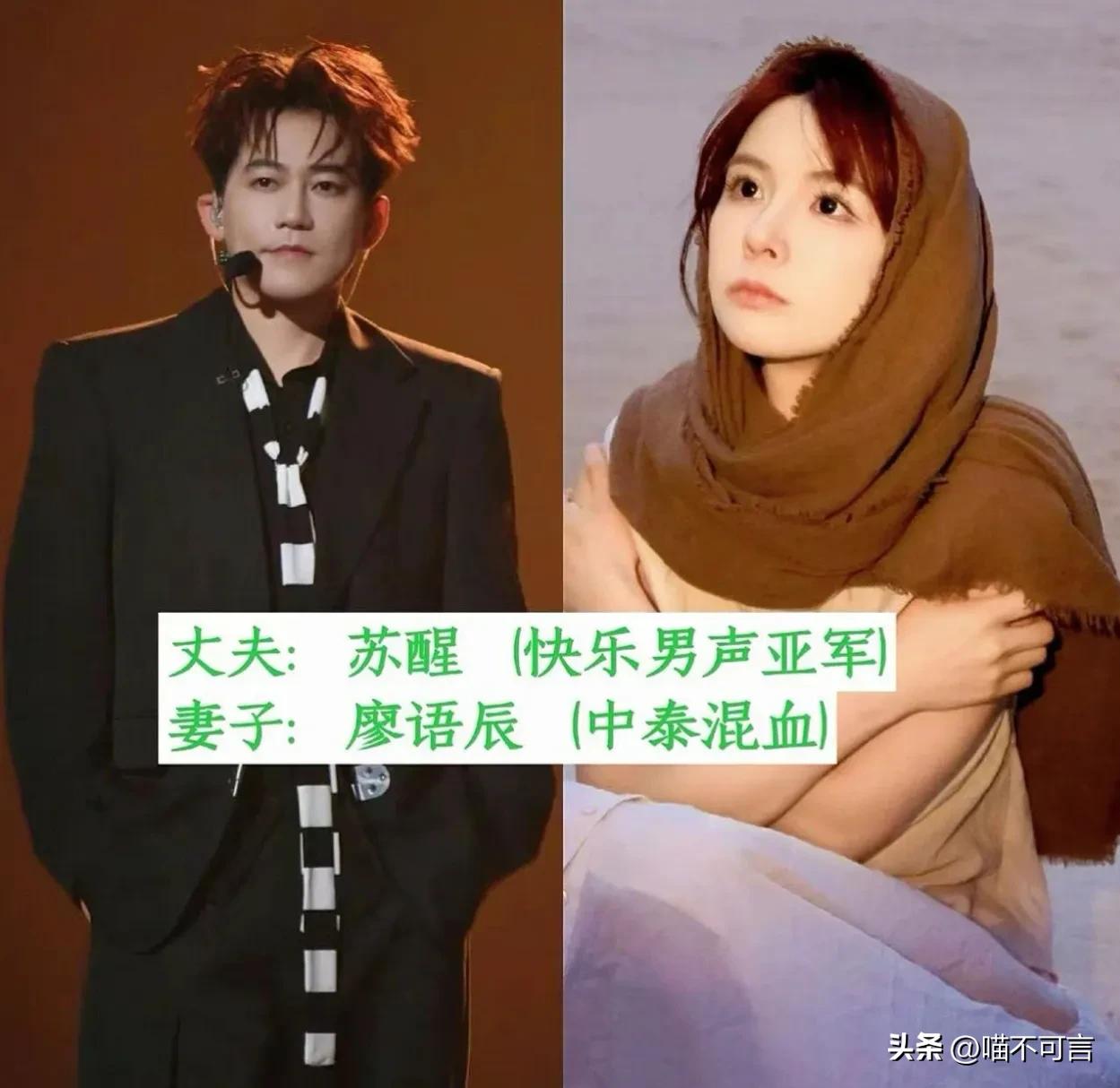 娱乐圈低调的夫妻